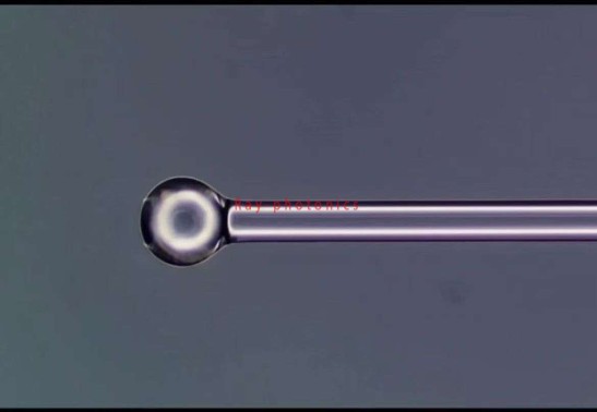 Ball Lensed Fiber