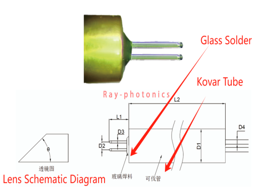 Beveled Dual-Fiber Sealing Assembly